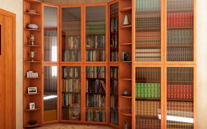 Офісна бібліотека у строгому стилі BO-159